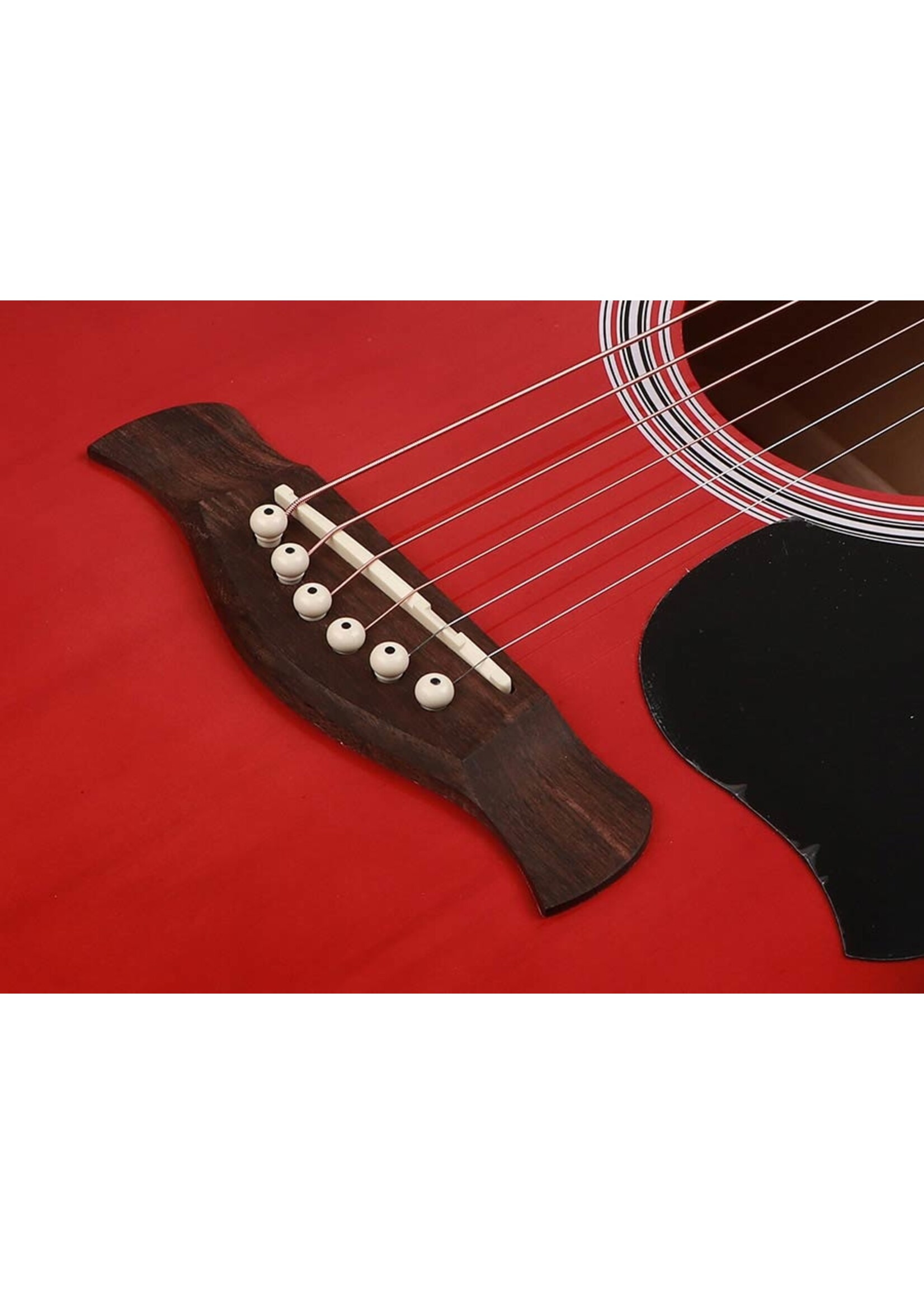Richwood  RD-12-RS| Richwood Artist Series akoestische gitaar