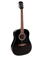 Richwood  RD-12-BK| Richwood Artist Series akoestische gitaar