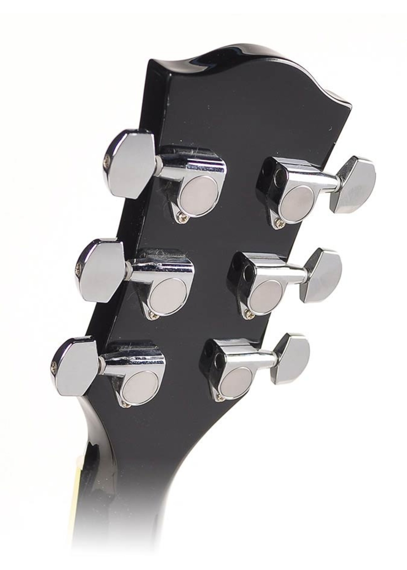 Richwood  RD-12-BK| Richwood Artist Series akoestische gitaar