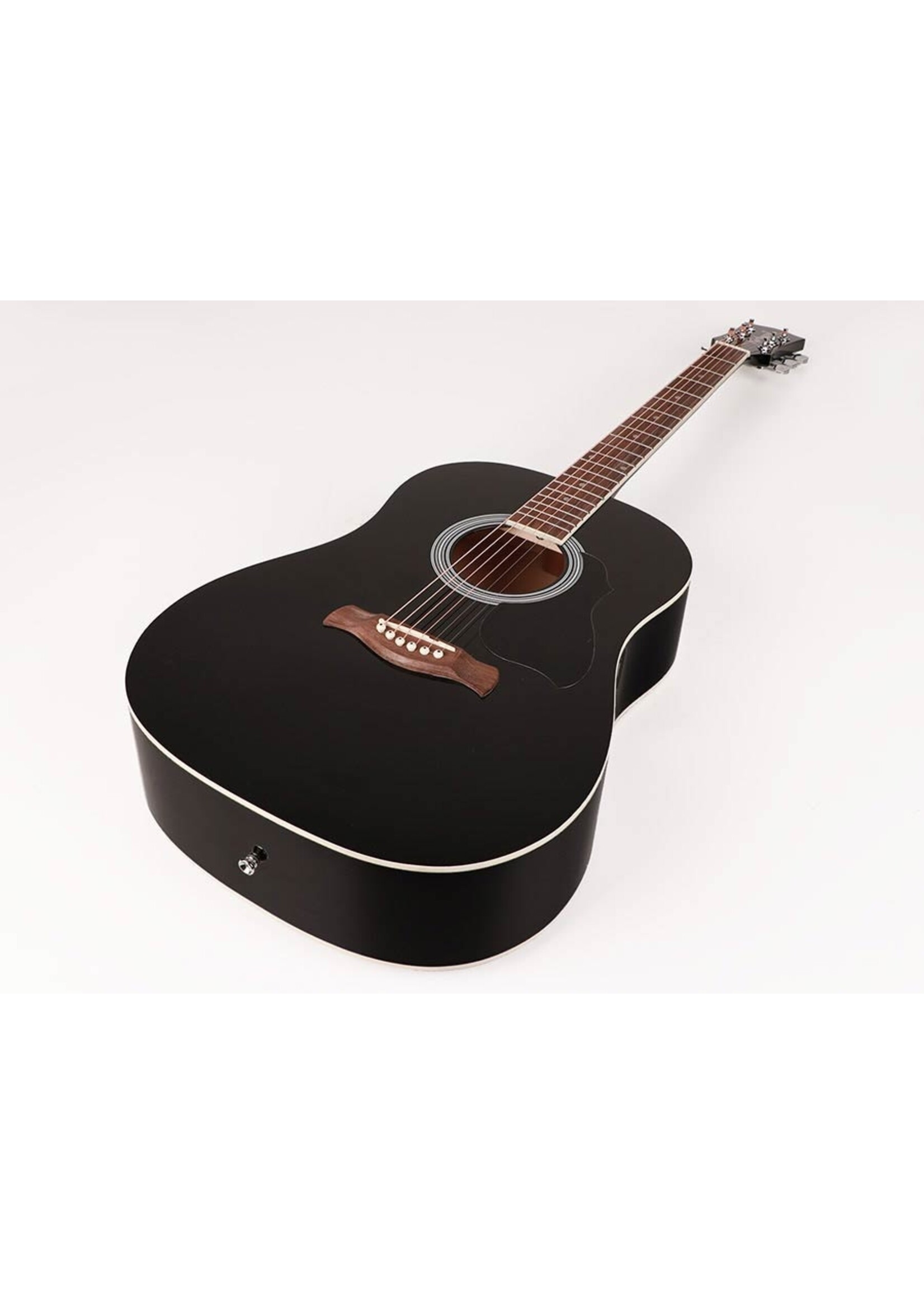 Richwood  RD-12-BK| Richwood Artist Series akoestische gitaar