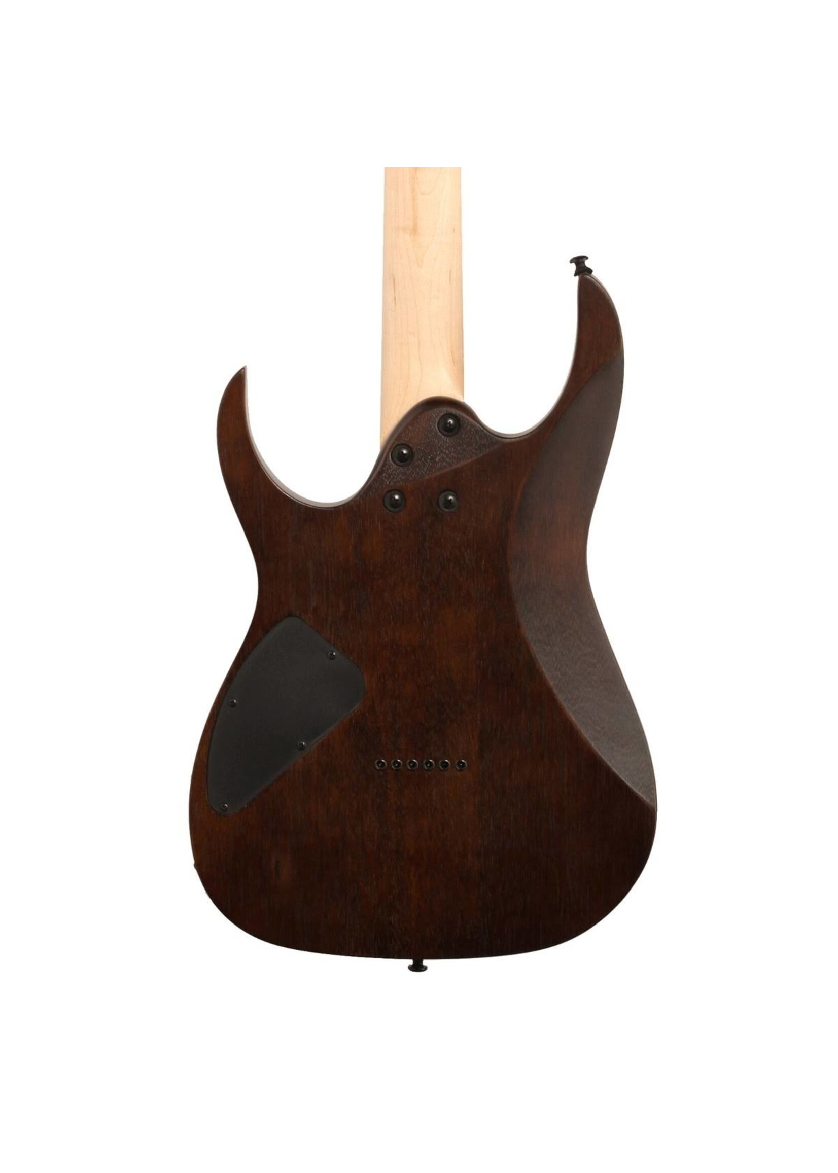 Ibanez Ibanez GIO GRG121DX-WNF Walnut Flat Elektrische Gitaar Met Specter Plectrum