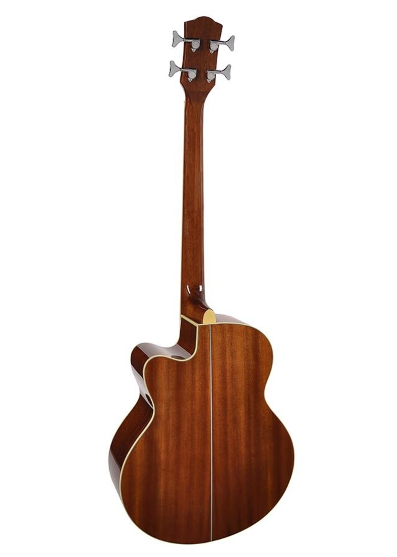 Richwood  RB-102-CE| Richwood akoestische basgitaar