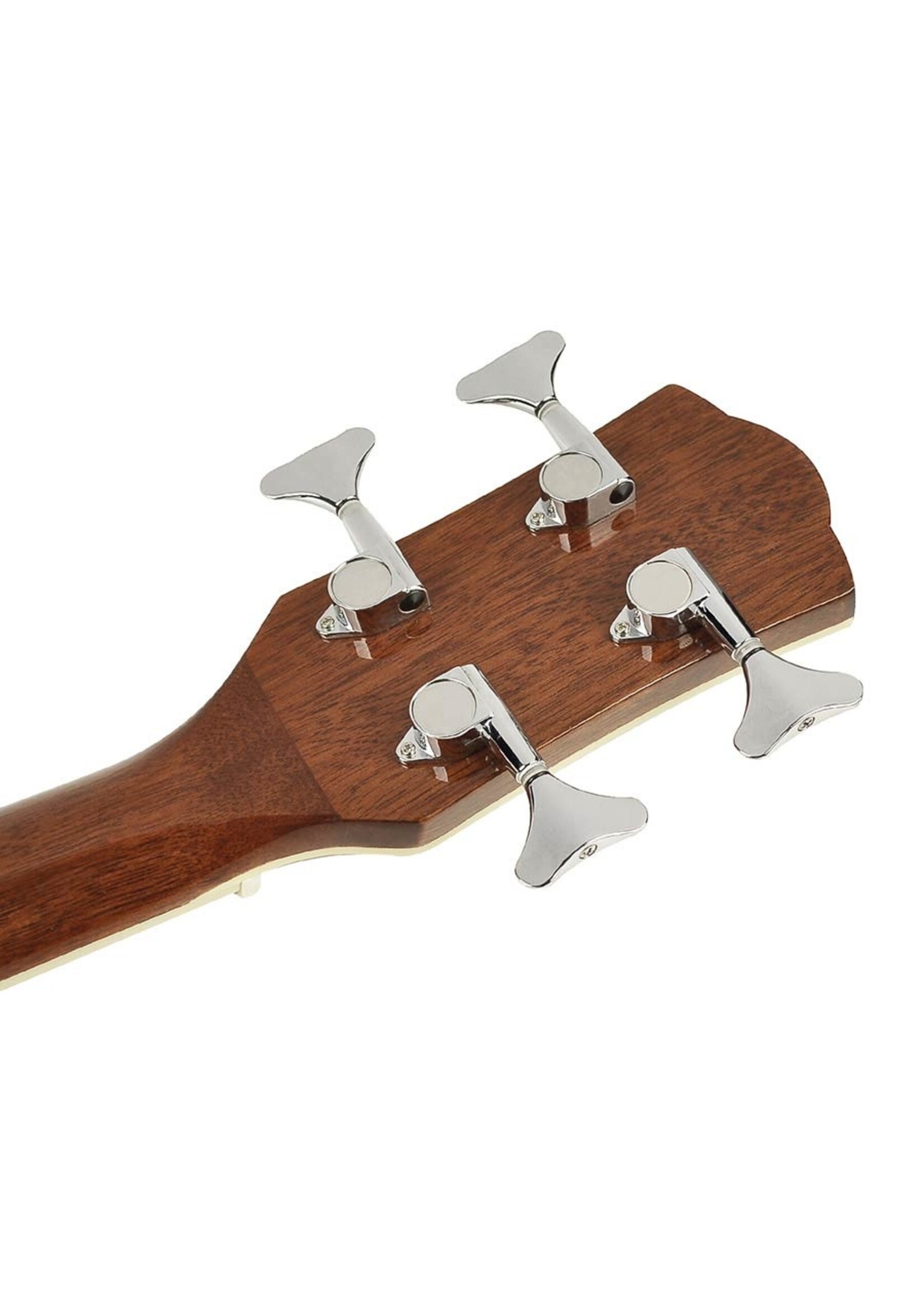 Richwood  RB-102-CE| Richwood akoestische basgitaar