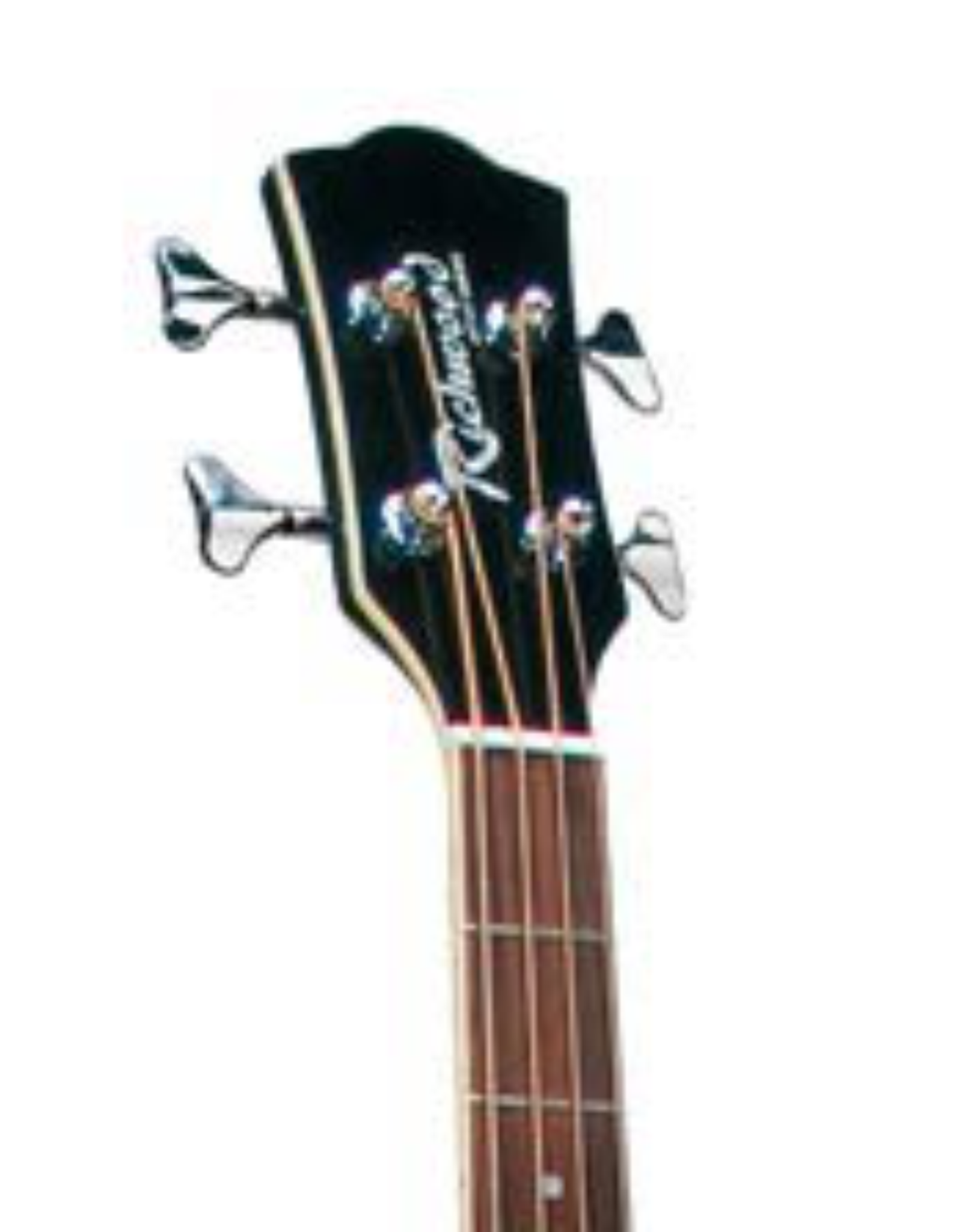 Richwood  RB-60-EBK| Richwood akoestische basgitaar