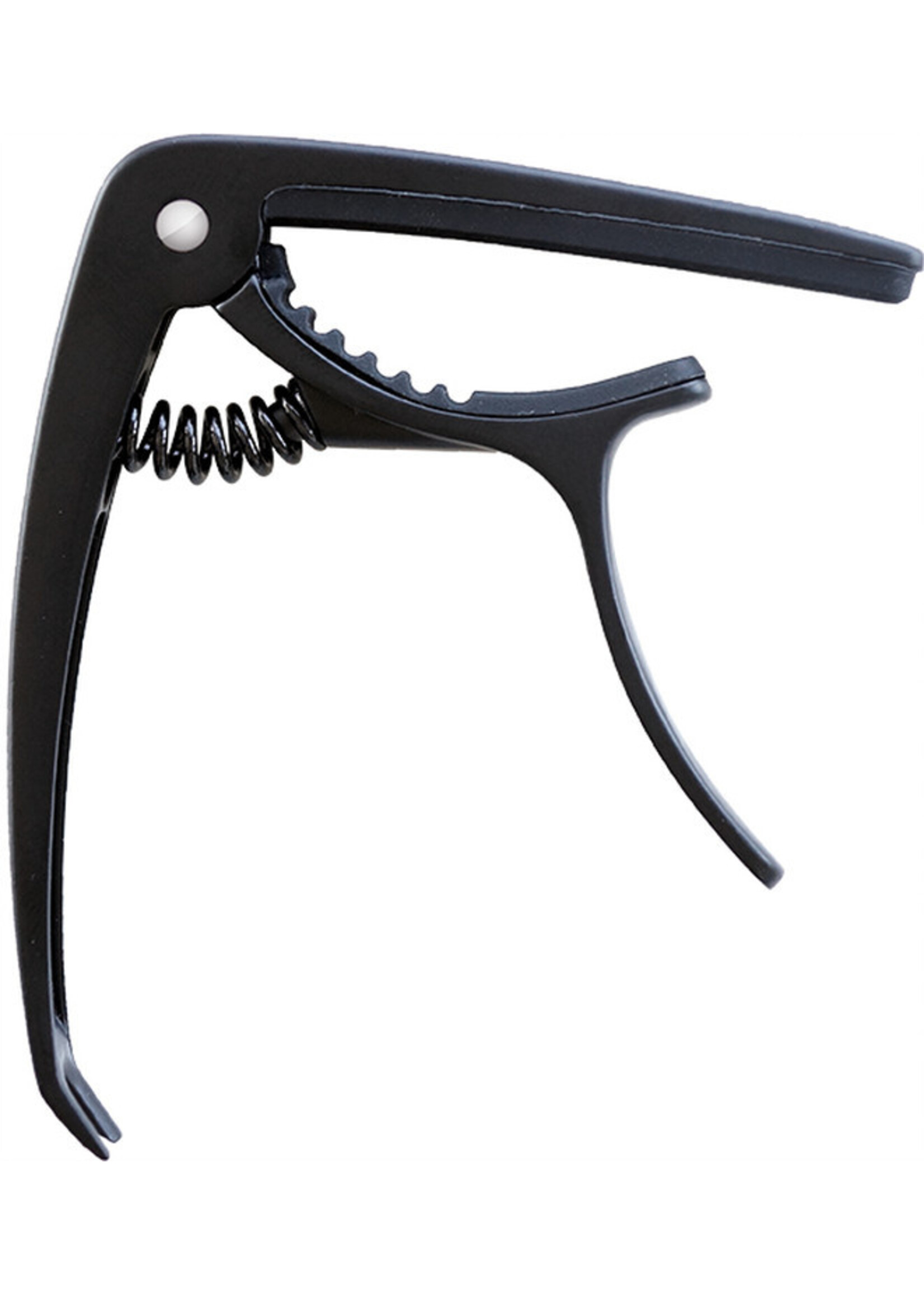 CLX capo buddie zwart