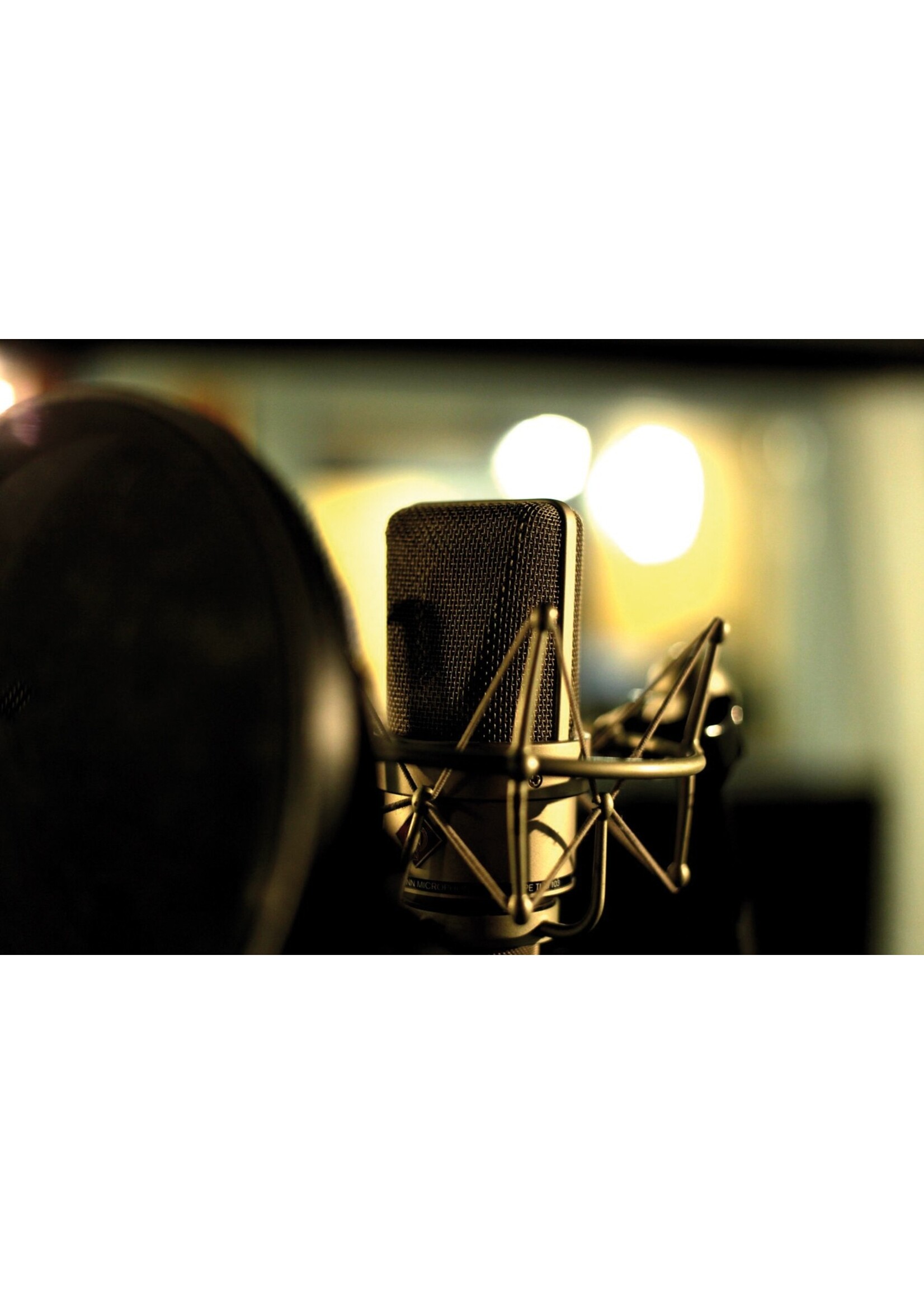 Power Dynamics Power Dynamics PDS-M01 Studio Professionele FET Condensatormicrofoon