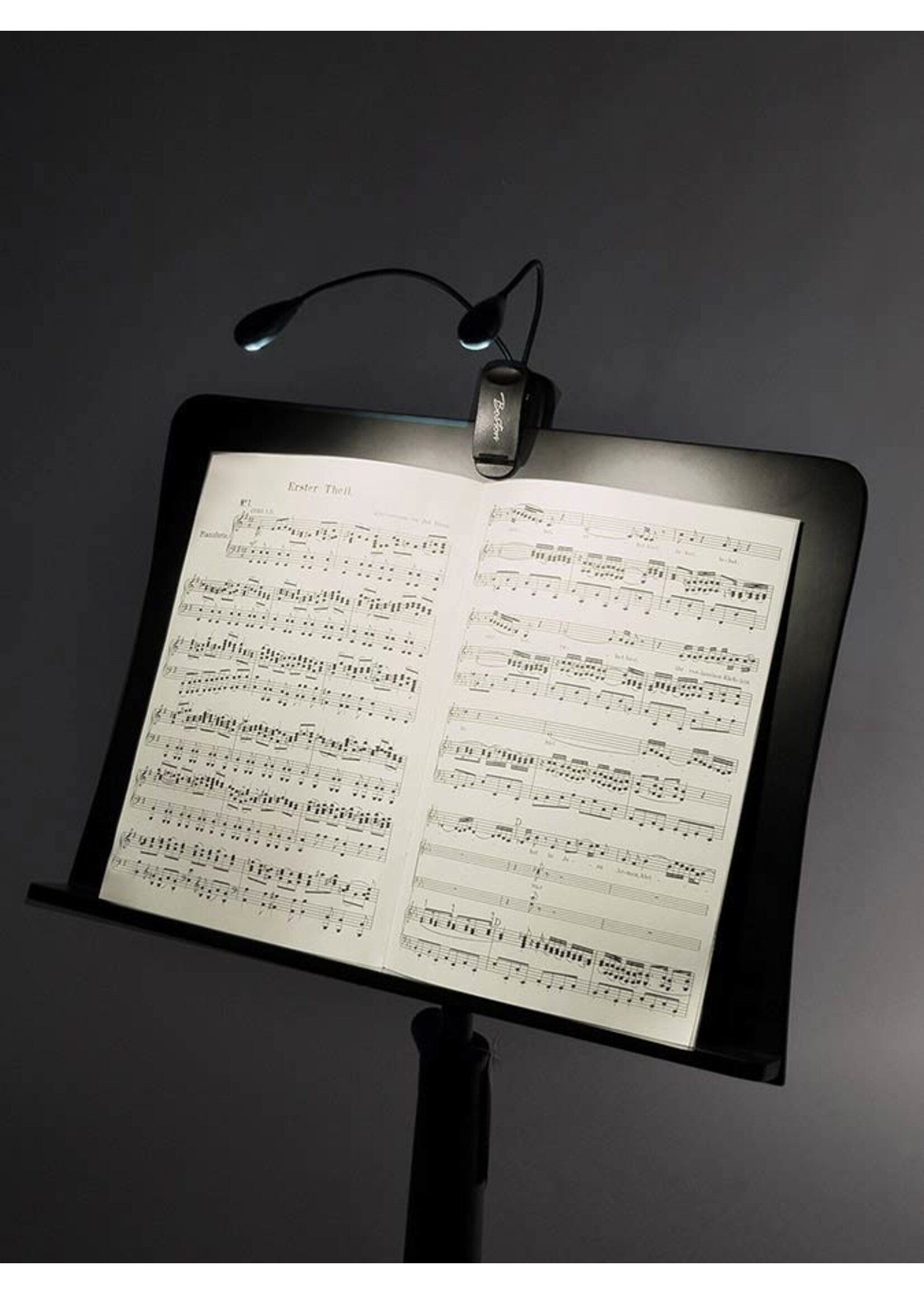 Boston  MSL-504| Boston lessenaar LED-licht met 2x2 LED's