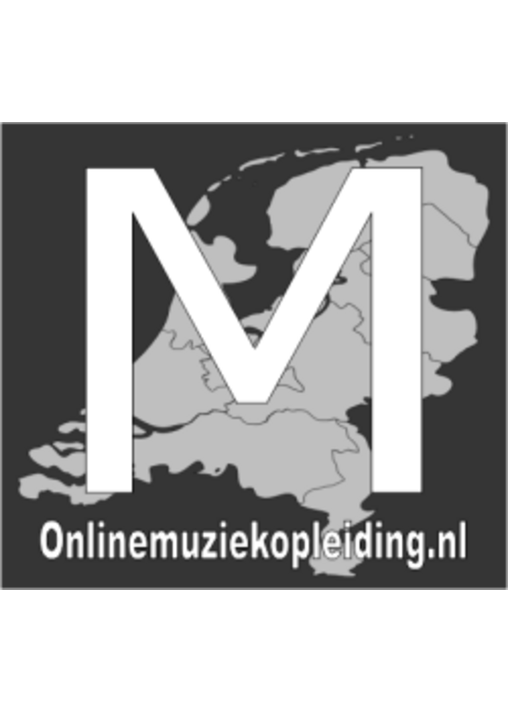 Online Muziekopleiding Dwarsfluitlessen onder de 21 jaar Online Muziekopleiding