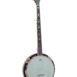 Diverse Snaarinstrumenten