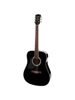 Richwood  Richwood Artist Series linkshandige akoestische gitaar