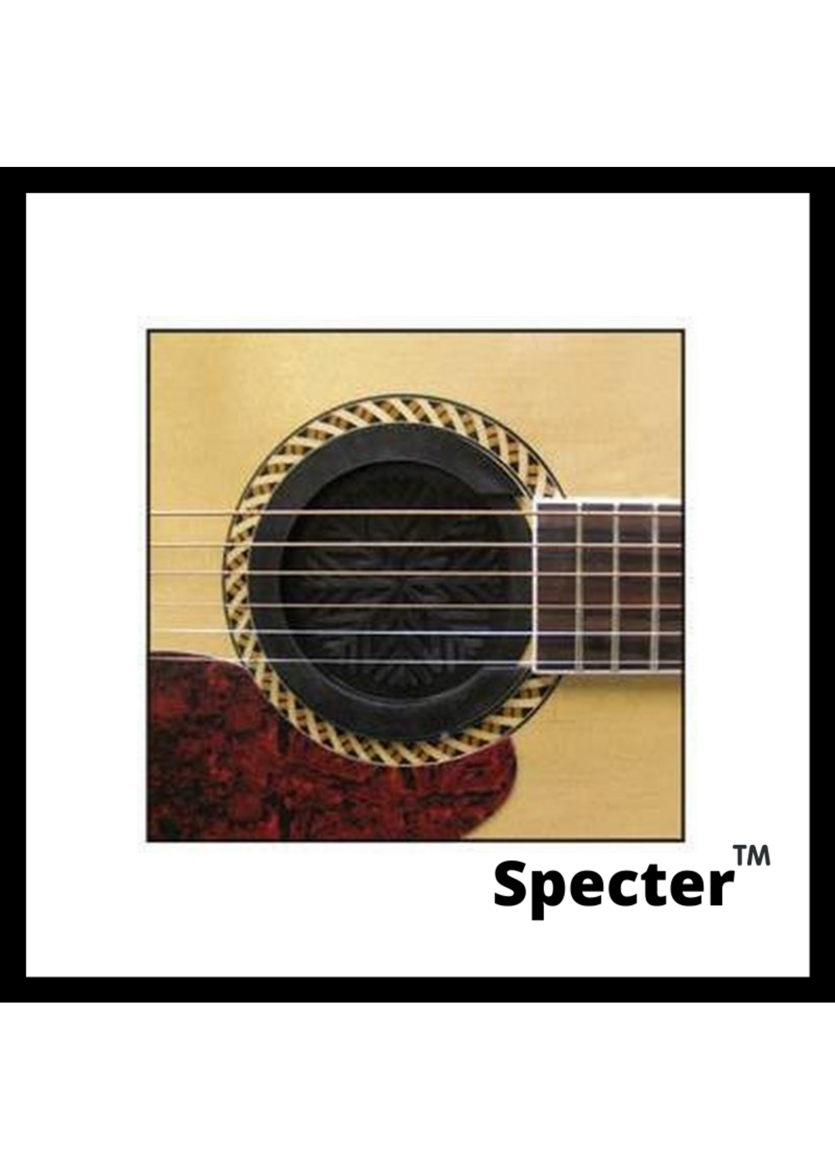 Specter Specter gitaar klankgat feedback buster - afmeting klankgat 10cm (standaard maat)