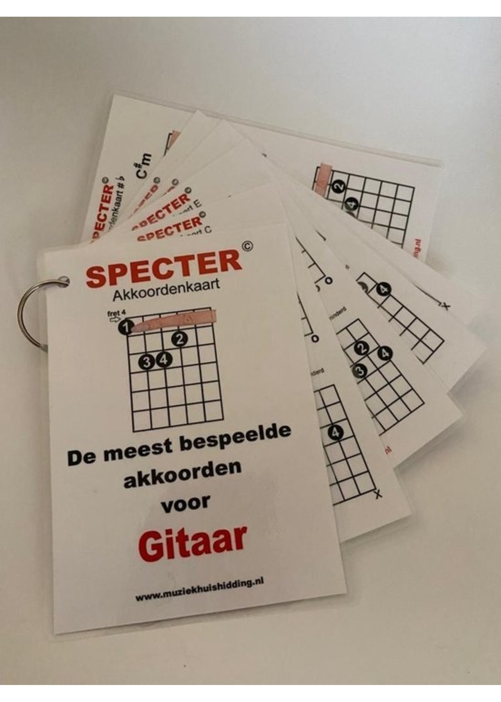 Specter Akkoorden - de meest bespeelde akkoorden voor gitaar