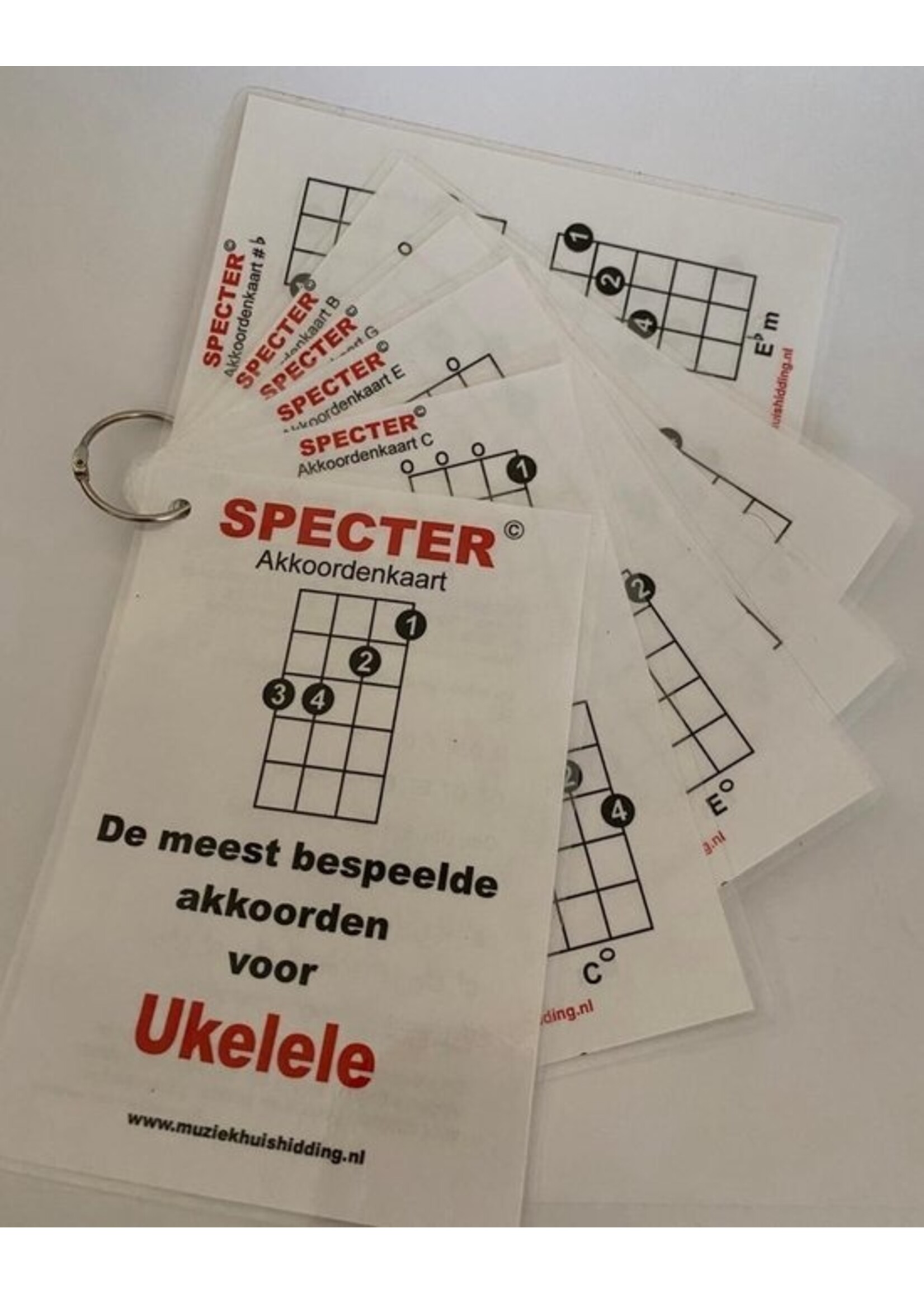 Specter Akkoorden - de meest bespeelde akkoorden voor ukelele