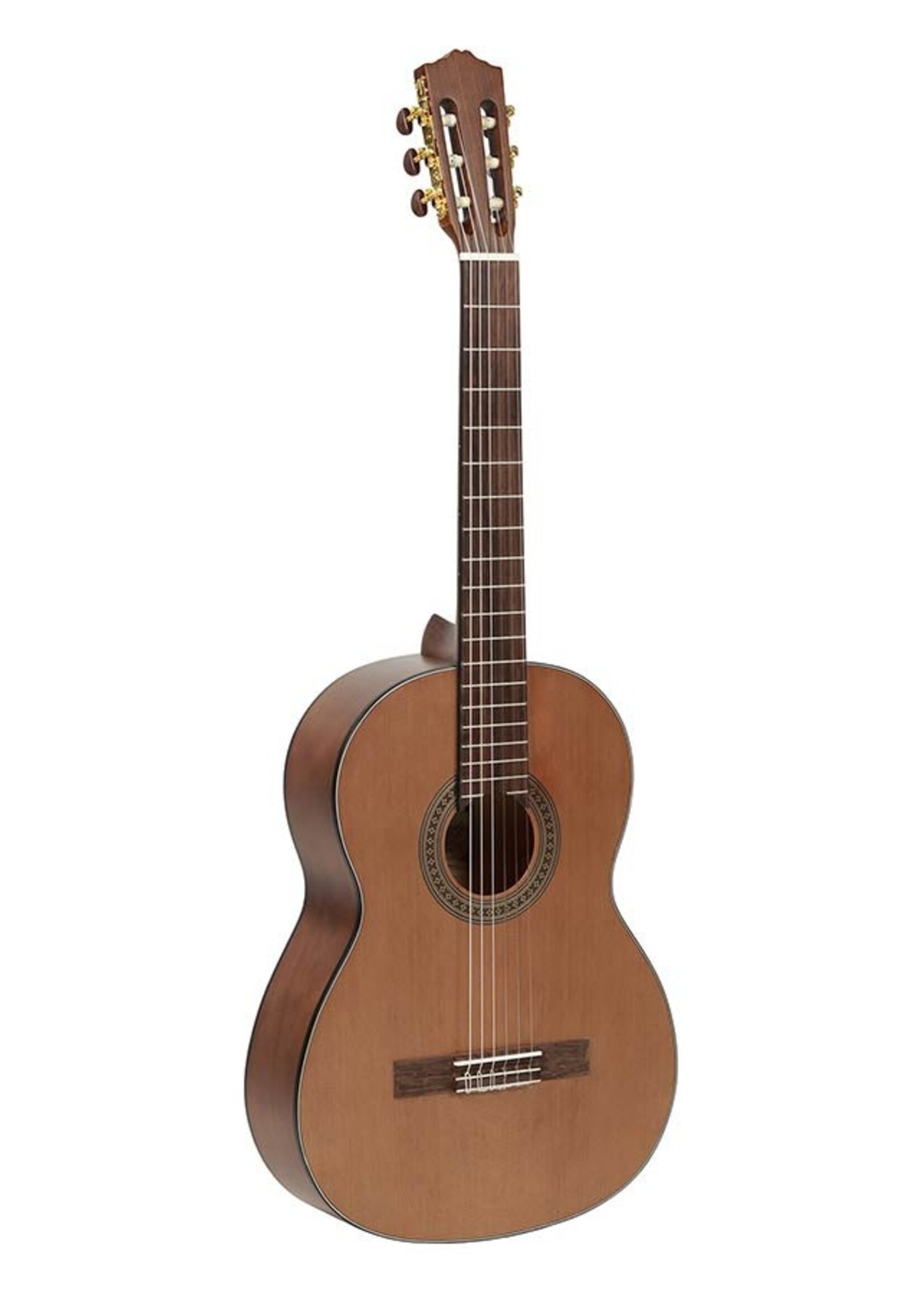 salvador Salvador Cortez Klassieke Gitaar - Student Series - Met Specter Plectrum