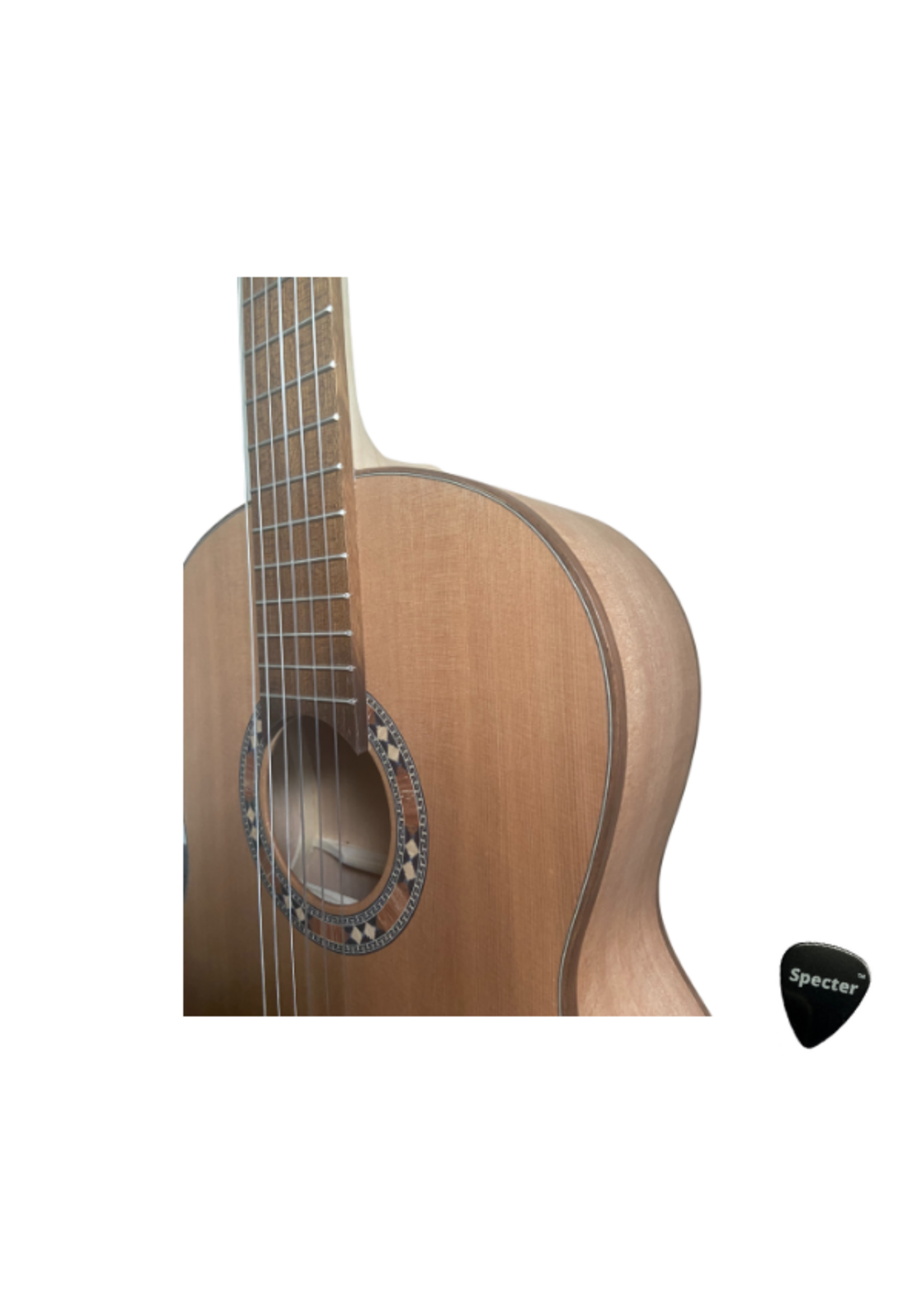 Gomez Gomez Klassieke Avanzado Gitaar 4/4 Met Specter Plectrum