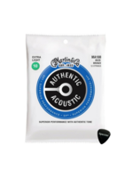 Martin & Co MA180| Martin  snarenset akoestisch 12-snarig