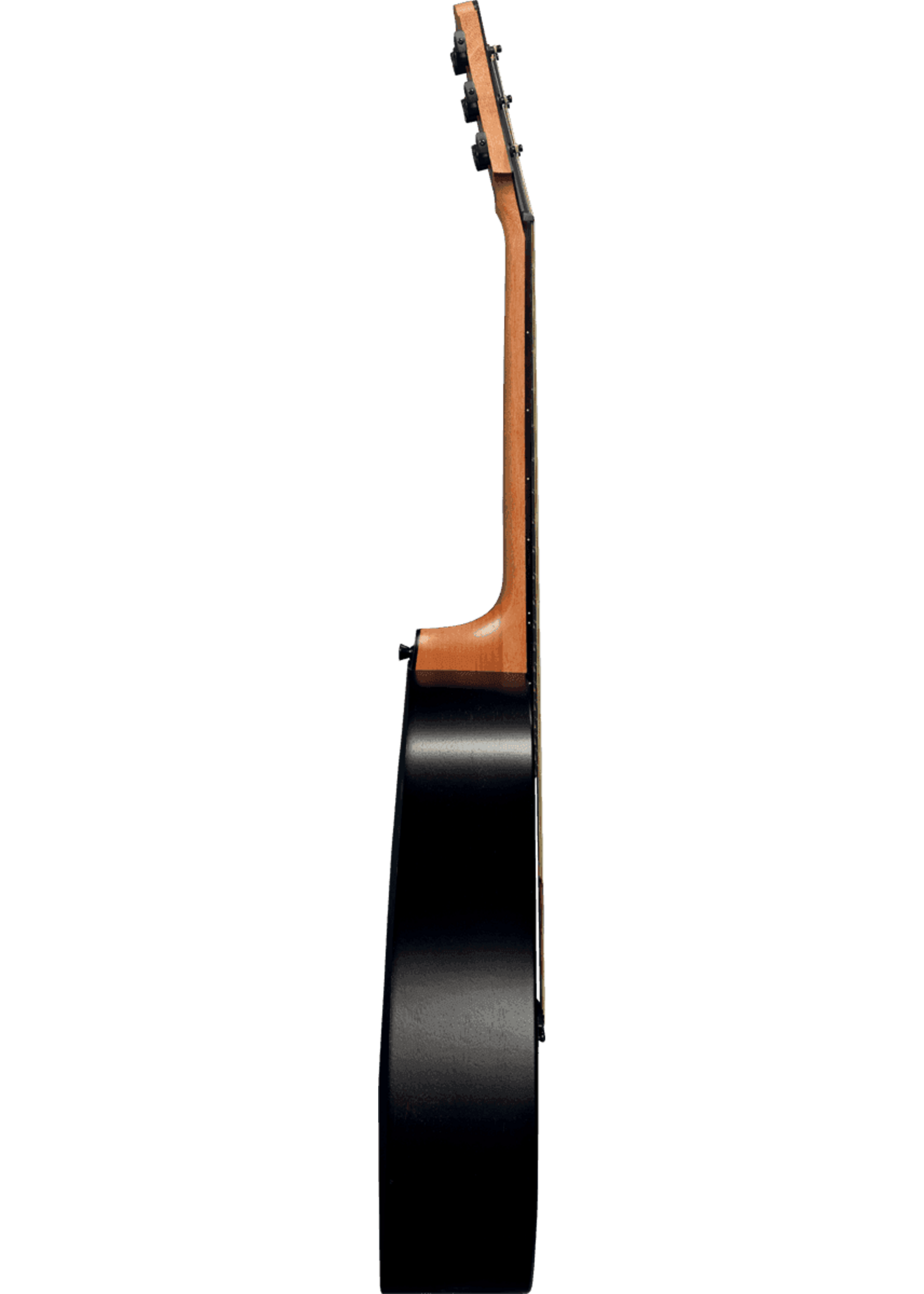 lag Lag Akoestische Gitaar  | Dreadnought | Warme Sound Met Specter Plectrum