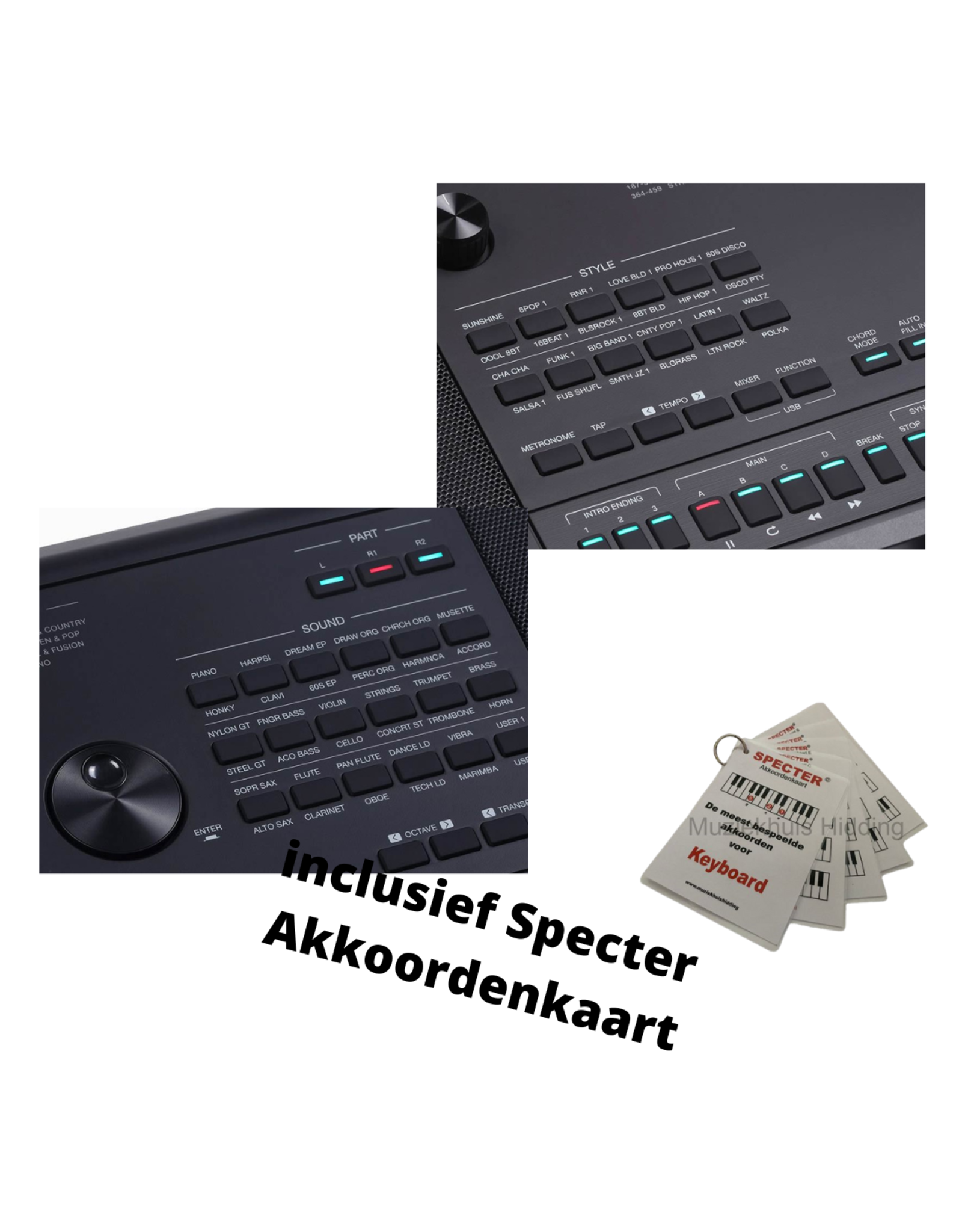 Medeli Medeli AK603 Keyboard | Arranger Pro Series | Digital Workstation | Met Specter Akkoordenkaart