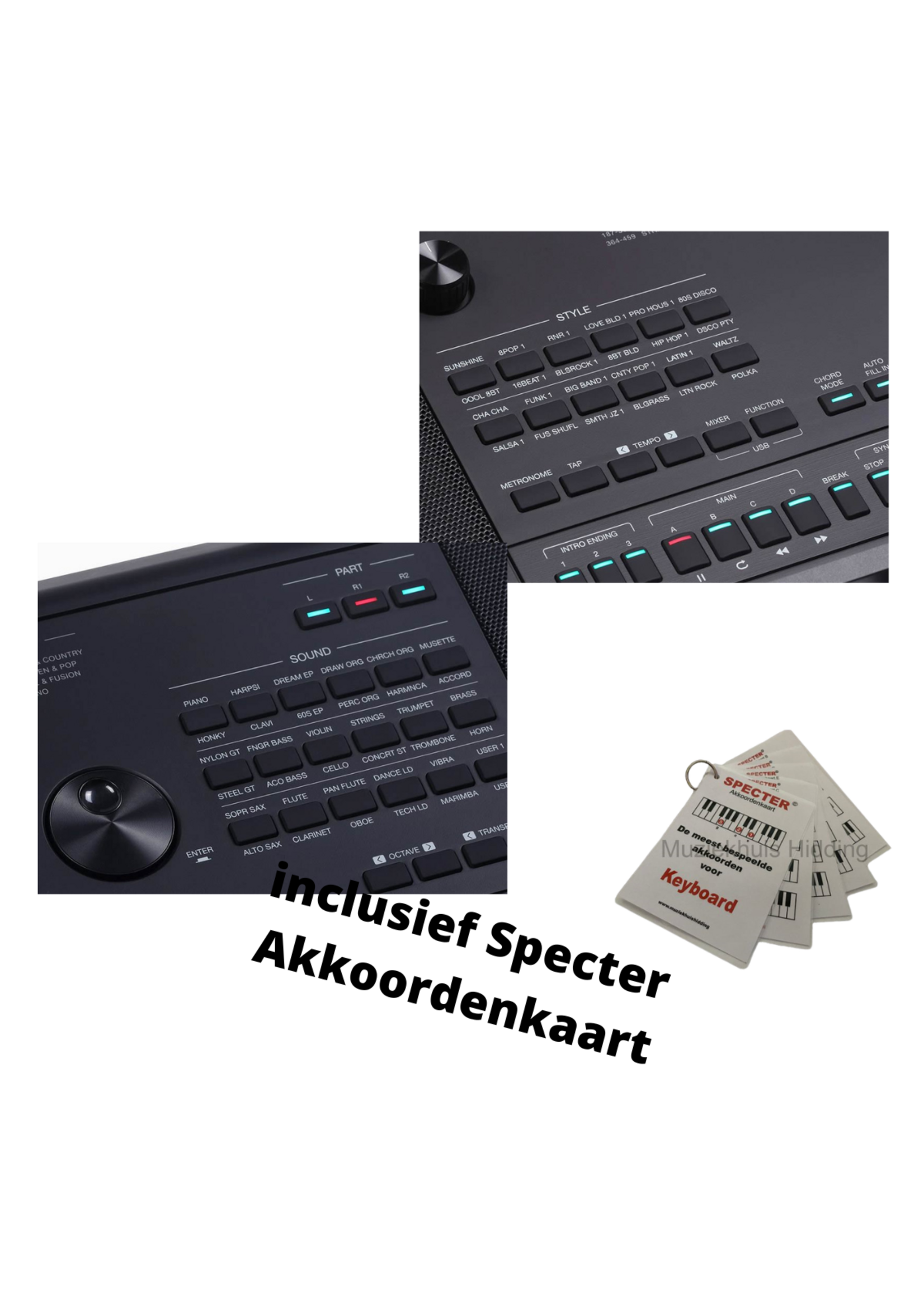 Medeli Medeli AK603 Keyboard | Arranger Pro Series | Digital Workstation | Met Specter Akkoordenkaart
