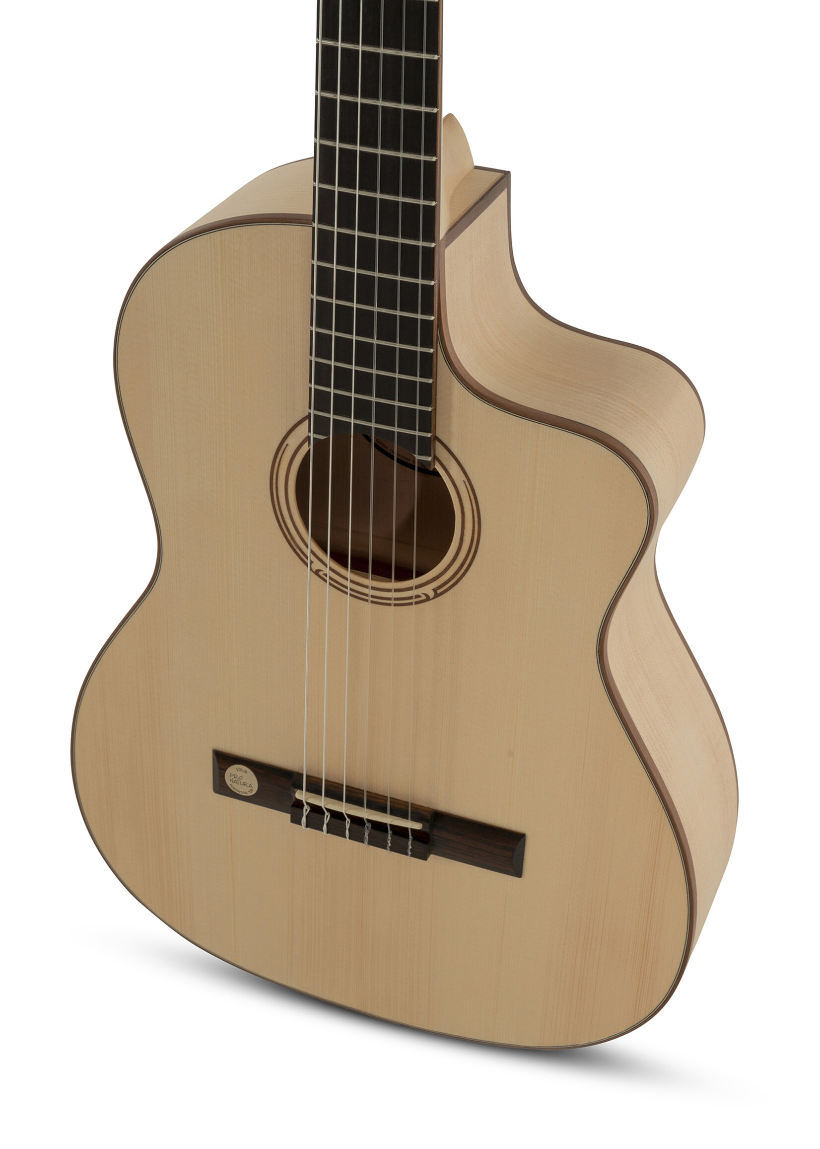 gewa GEWA Semi-Akoestische klassieke gitaar Pro Natura Silver Samba | Met Specter Plectrum