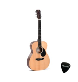 Sigma Sigma Akoestische Western Gitaar Met Specter Plectrum