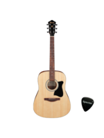 Ibanez Ibanez Akoestische Gitaar met Specter Plectrum | V40