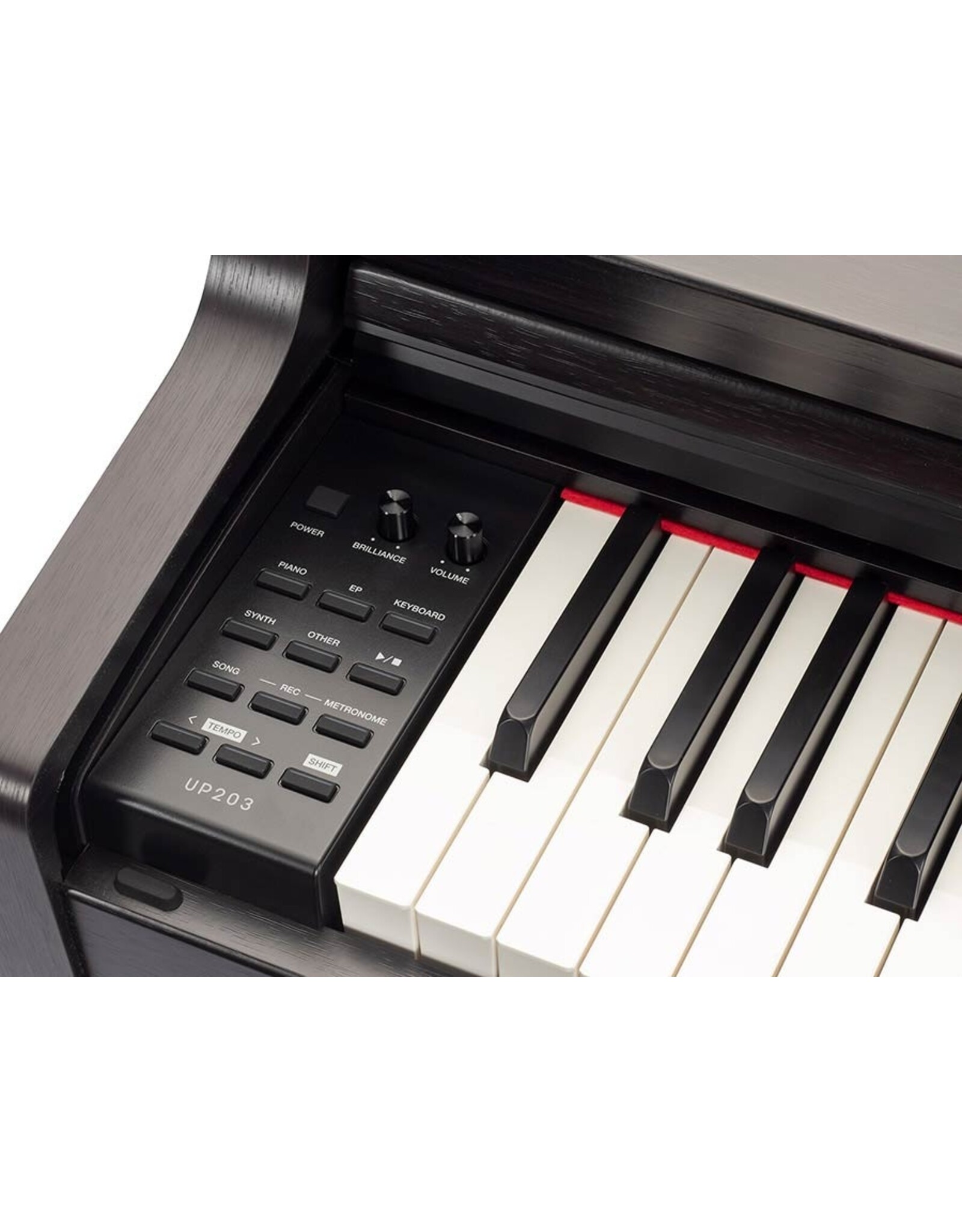 Medeli UP203/BK |Medeli Andromeda Series digital home piano