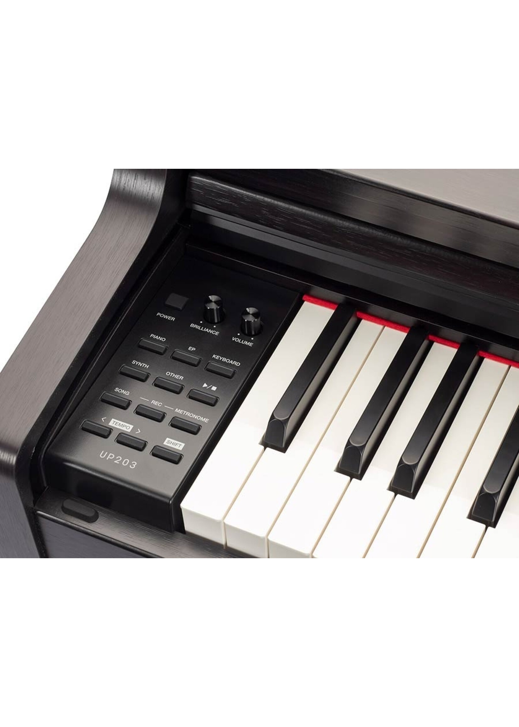 Medeli UP203/BK |Medeli Andromeda Series digital home piano