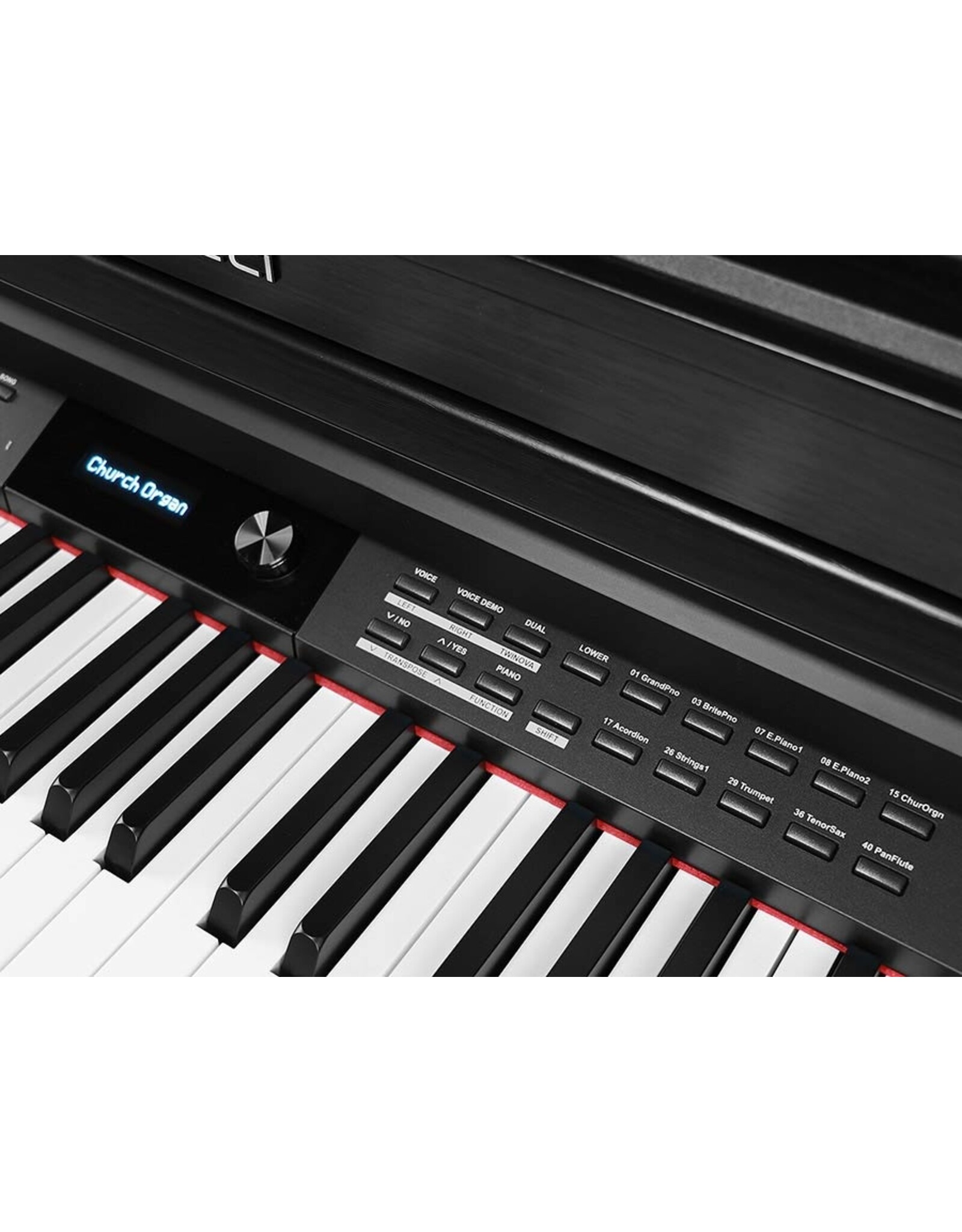 Medeli Medeli DP460K/BK | Forte Series Digitale Piano - Innovatief, Professioneel en Geavanceerd