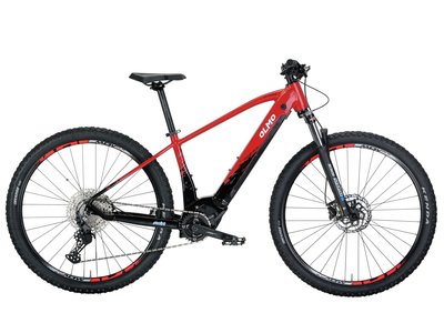 E-VAG 29"  SRAM SX 12V.