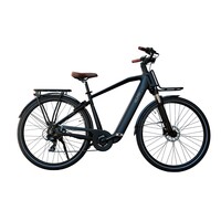 PALMARIA MAN 7v 28"