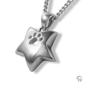 Aurora DH 509 Ash pendant pets