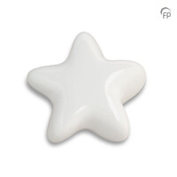 FPU 061 Ceramic art urn keepsake Asteri