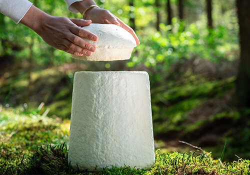 New: Bio urn Mycelium