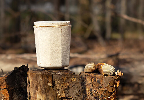 Mycelium urns
