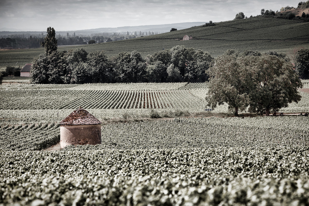 Domaine Seguin Manuel