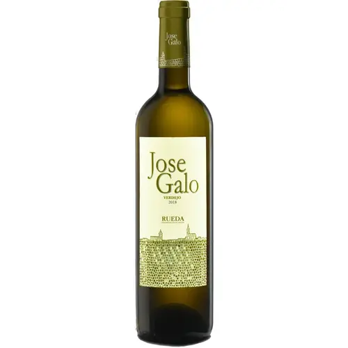 Conventioneel Jose Galo Rueda Verdejo