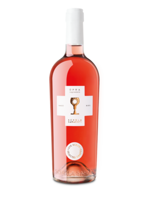 Conventioneel Schola Sarmenti Opra - Nardò Rosato