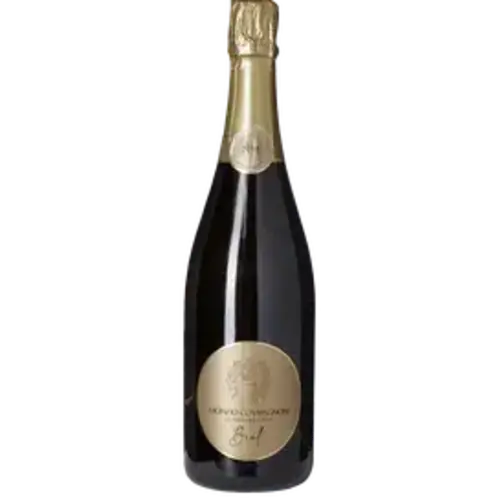 Conventioneel Franciacorta Brut Millesimato - Monzio Compagnonii