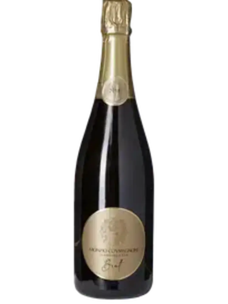 Conventioneel Franciacorta Brut Millesimato - Monzio Compagnonie