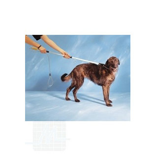 Pince capture chien 150 cm par unité