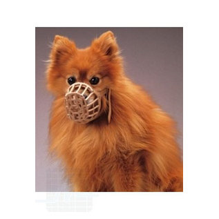 Muzzle Plastic