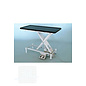 VETLIFT scissor table