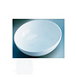 Laboratory tray nylon