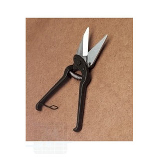 Claw scissor for sheep