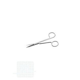 Gingivektomy scissors straight