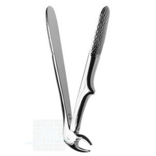 Tooth root pliers straight curved