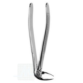 Tooth root pliers curved