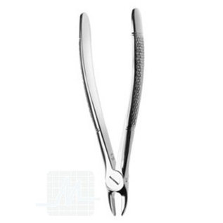 Tooth Root Long Nose Pliers