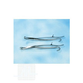 Tooth  forceps Reynolds 37cm